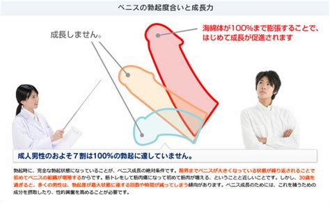 遅漏 何分|勃起が続く時間はどのくらい？短すぎても長すぎても病気の可能。